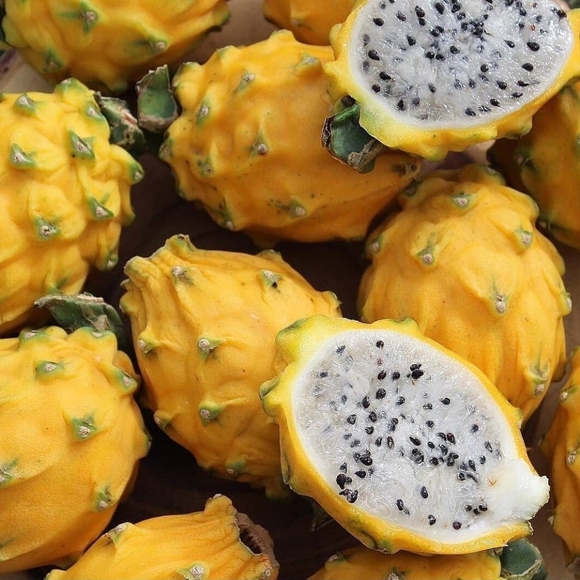 💎TEE IS LIVE💎 - Meet your Posher,Tiffany aka Tee'd Up Threadz-SHARE ME!Like Me ✅ - Picture 9 of 15